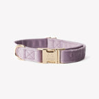 Velvet Dog Collar | Lilac 1 - MiniPaw Luxe
