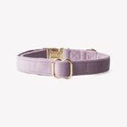 Velvet Dog Collar | Lilac 2 - MiniPaw Luxe