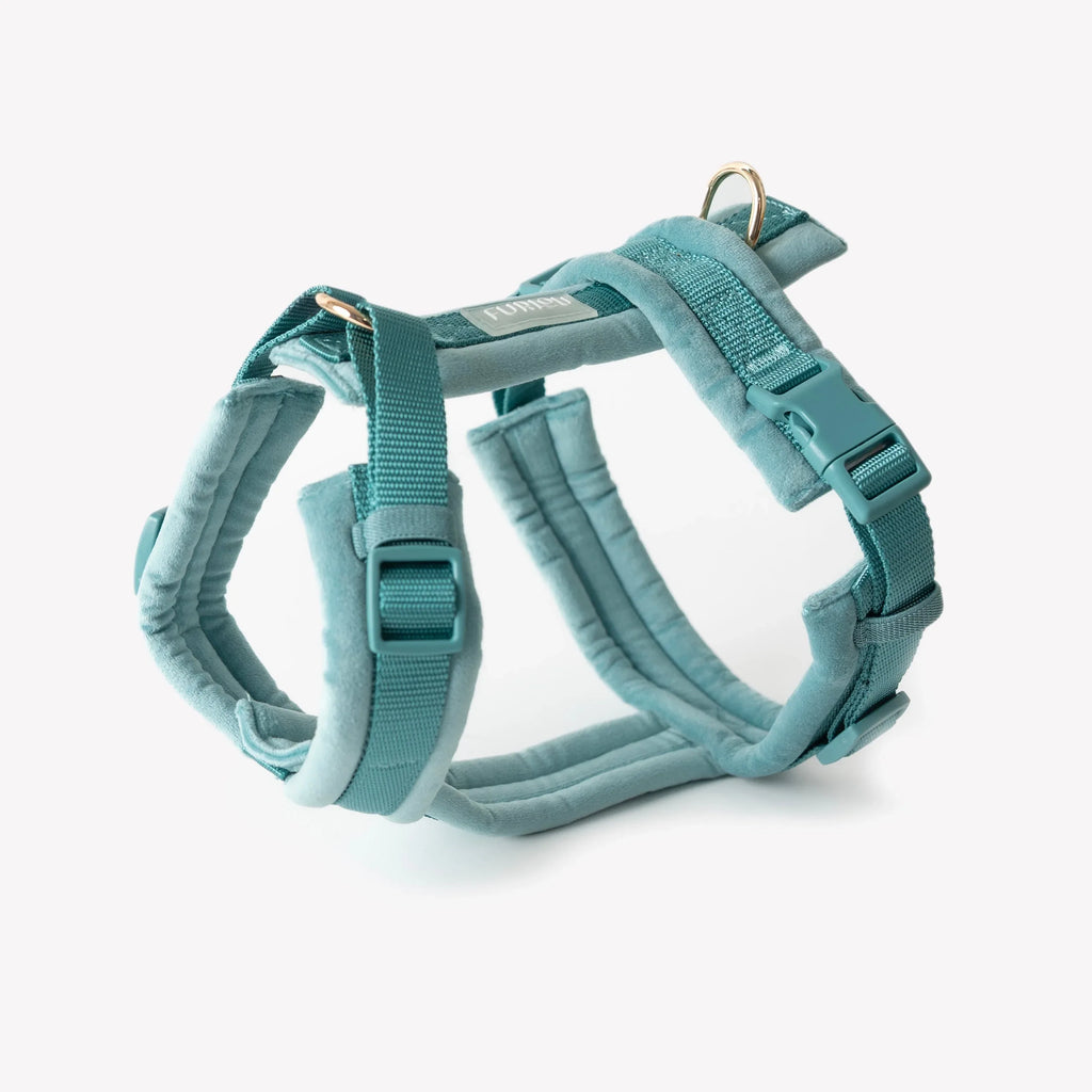 Velvet Harness | Blue 1 - MiniPaw Luxe