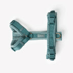 Velvet Harness | Blue 2 - MiniPaw Luxe