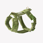 Velvet Harness | Green 1 - MiniPaw Luxe
