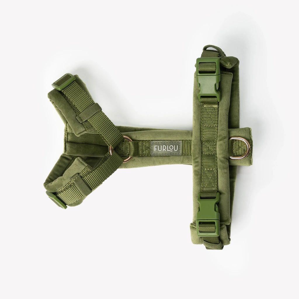 Velvet Harness | Green 2 - MiniPaw Luxe