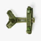 Velvet Harness | Green 2 - MiniPaw Luxe