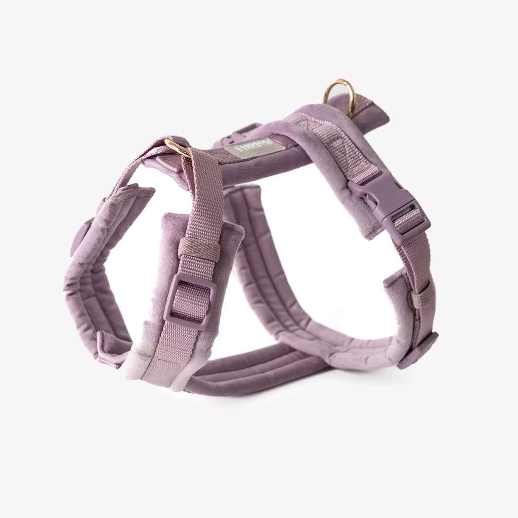 Velvet Harness | Lilac 1 - MiniPaw Luxe