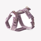 Velvet Harness | Lilac 1 - MiniPaw Luxe