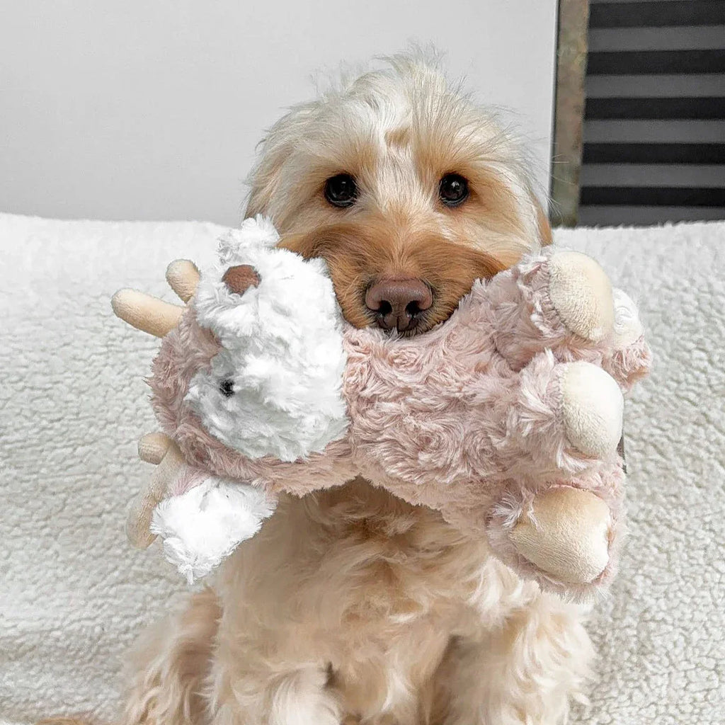 Vixi Plush Toy | Maxi 6 - MiniPaw Luxe