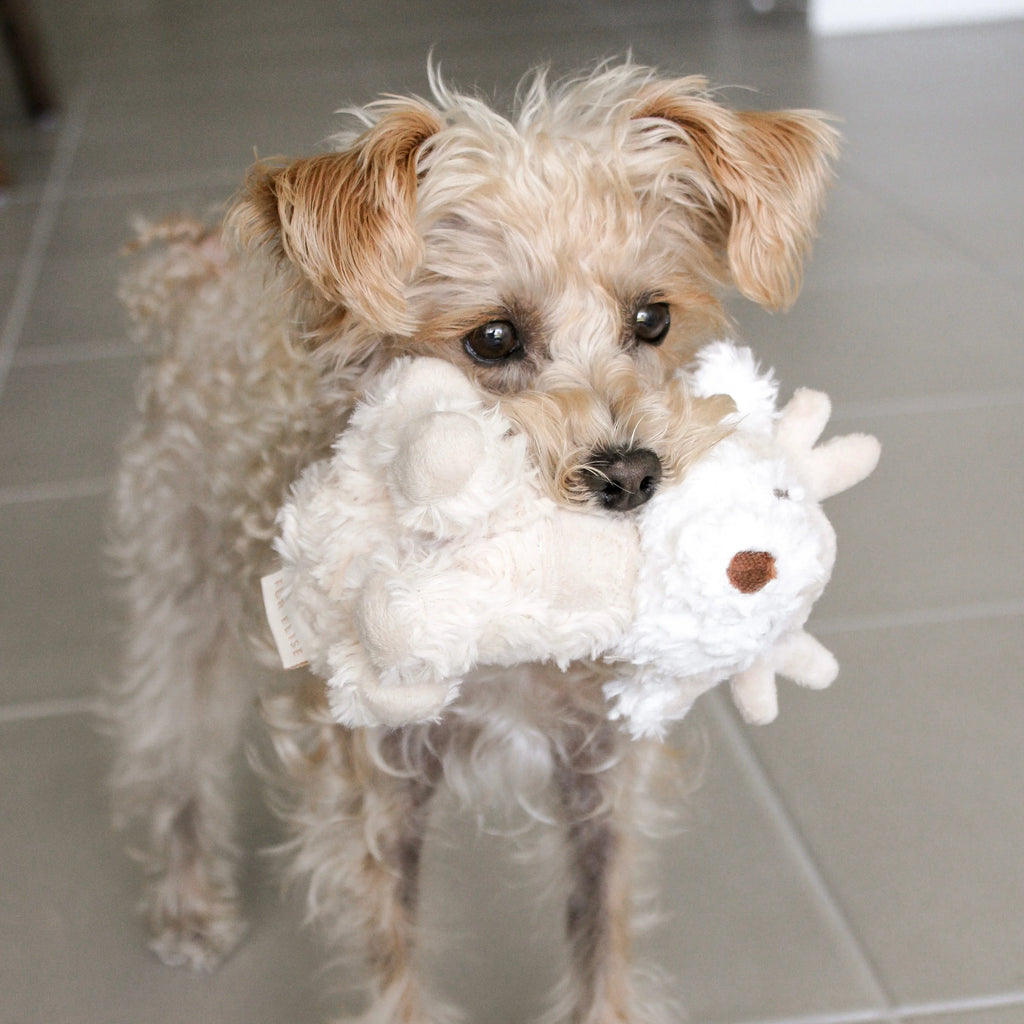 Vixi Plush Toy | Mini 4 - MiniPaw Luxe