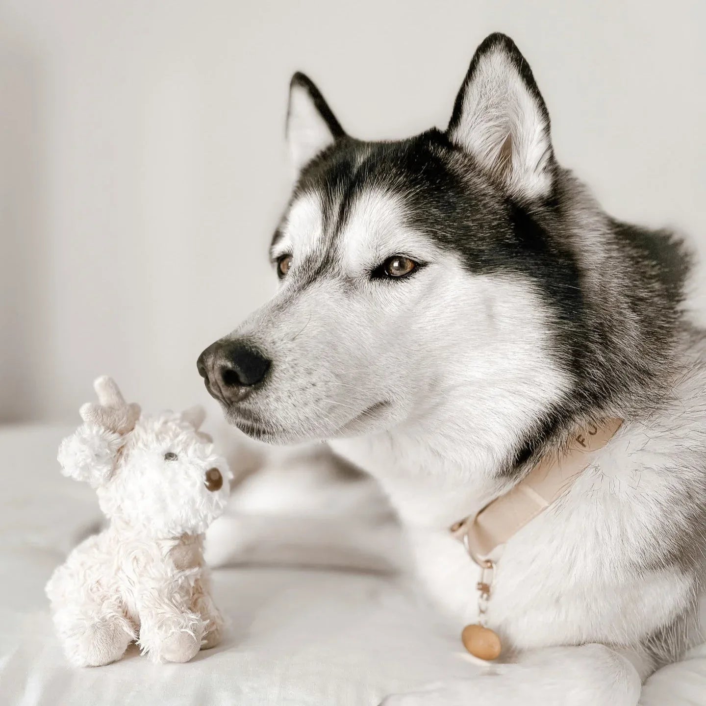 Vixi Plush Toy | Mini 5 - MiniPaw Luxe