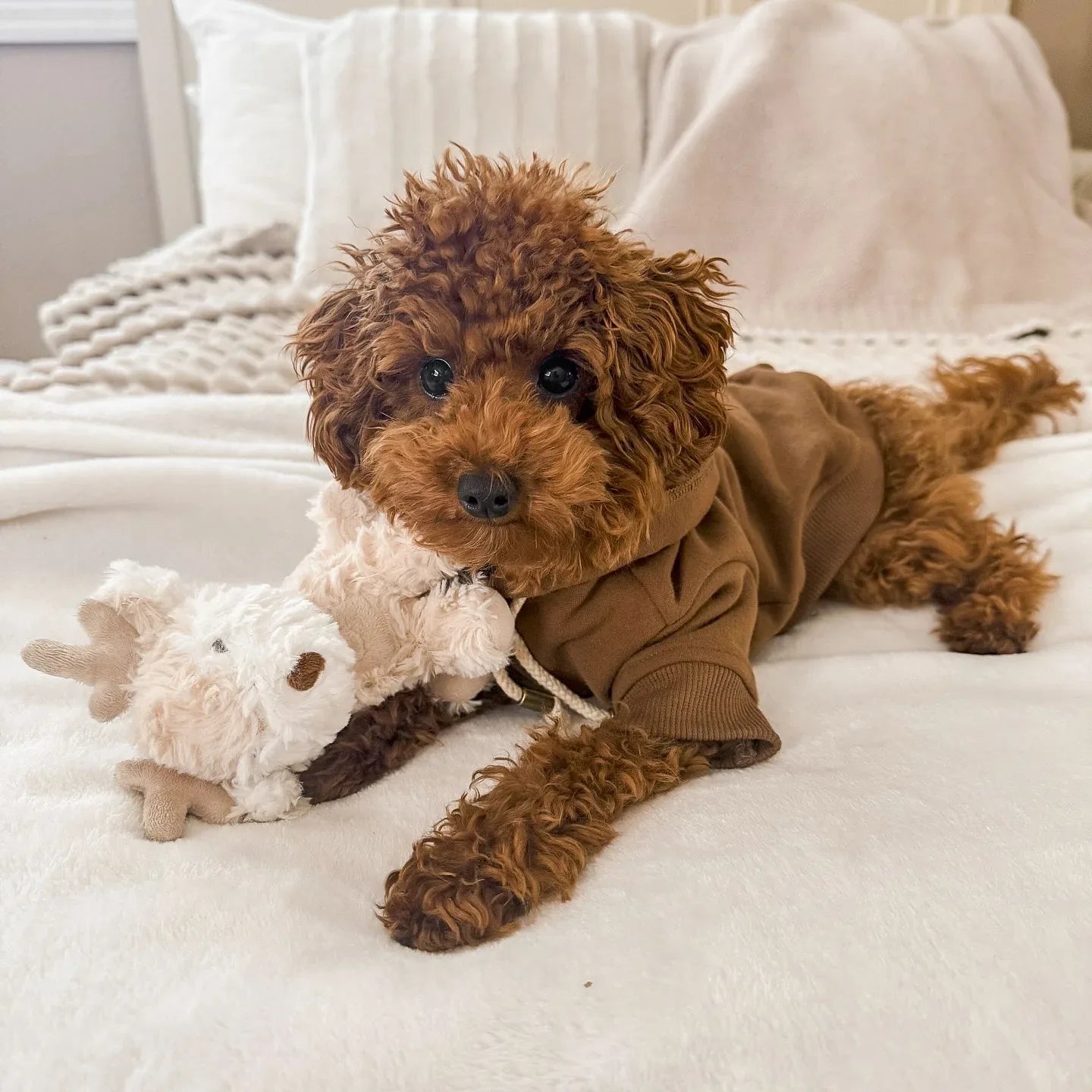 Vixi Plush Toy Set 4 - MiniPaw Luxe