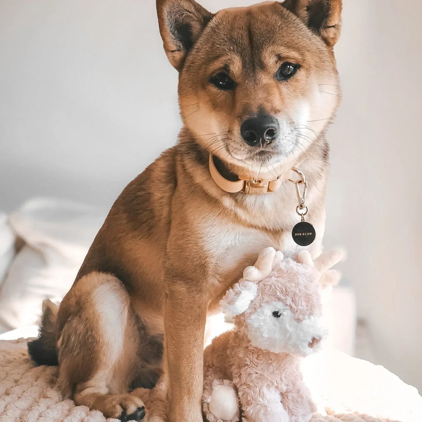 Vixi Plush Toy Set 5 - MiniPaw Luxe