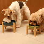[Wave] Slow Feeder Dog Bowls - Pink / Beige / Orange 9 - MiniPaw Luxe