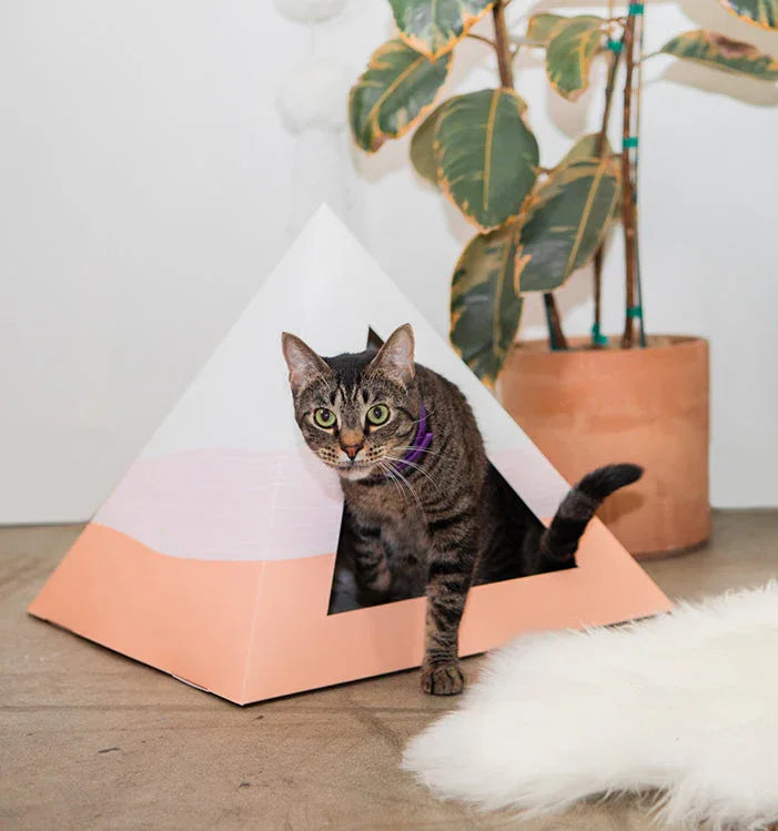 'Wavey' Cardboard Pyramid 1 - MiniPaw Luxe