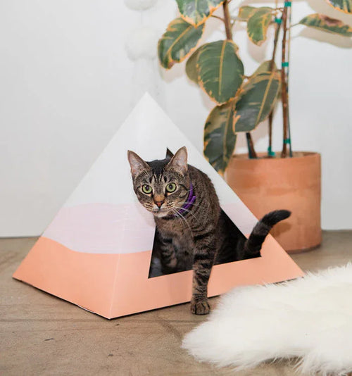 'Wavey' Cardboard Pyramid 1 - MiniPaw Luxe
