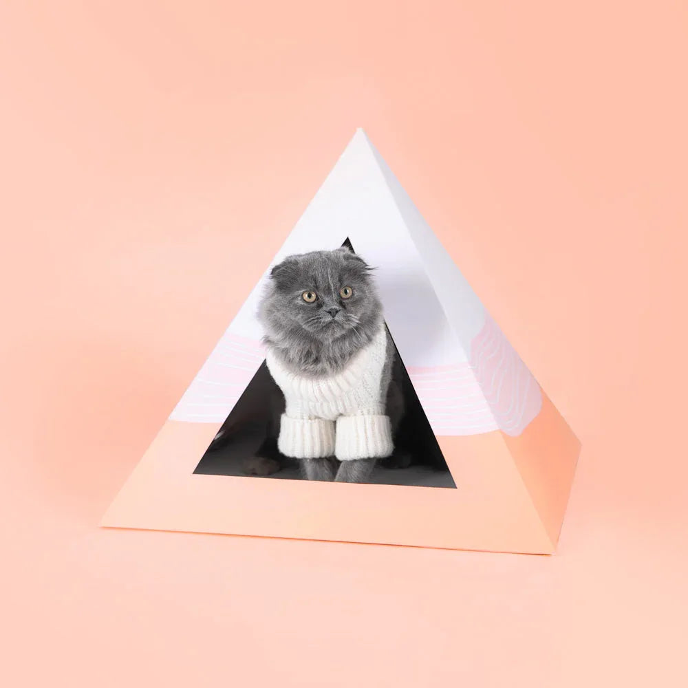 'Wavey' Cardboard Pyramid 2 - MiniPaw Luxe