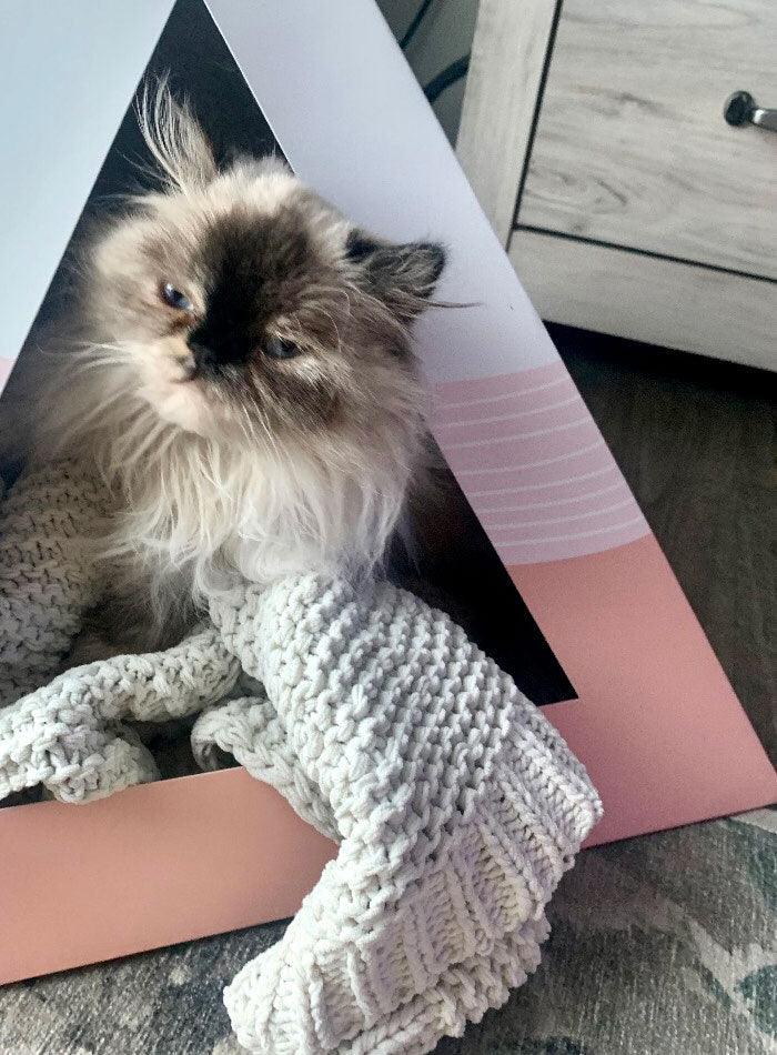 'Wavey' Cardboard Pyramid 4 - MiniPaw Luxe