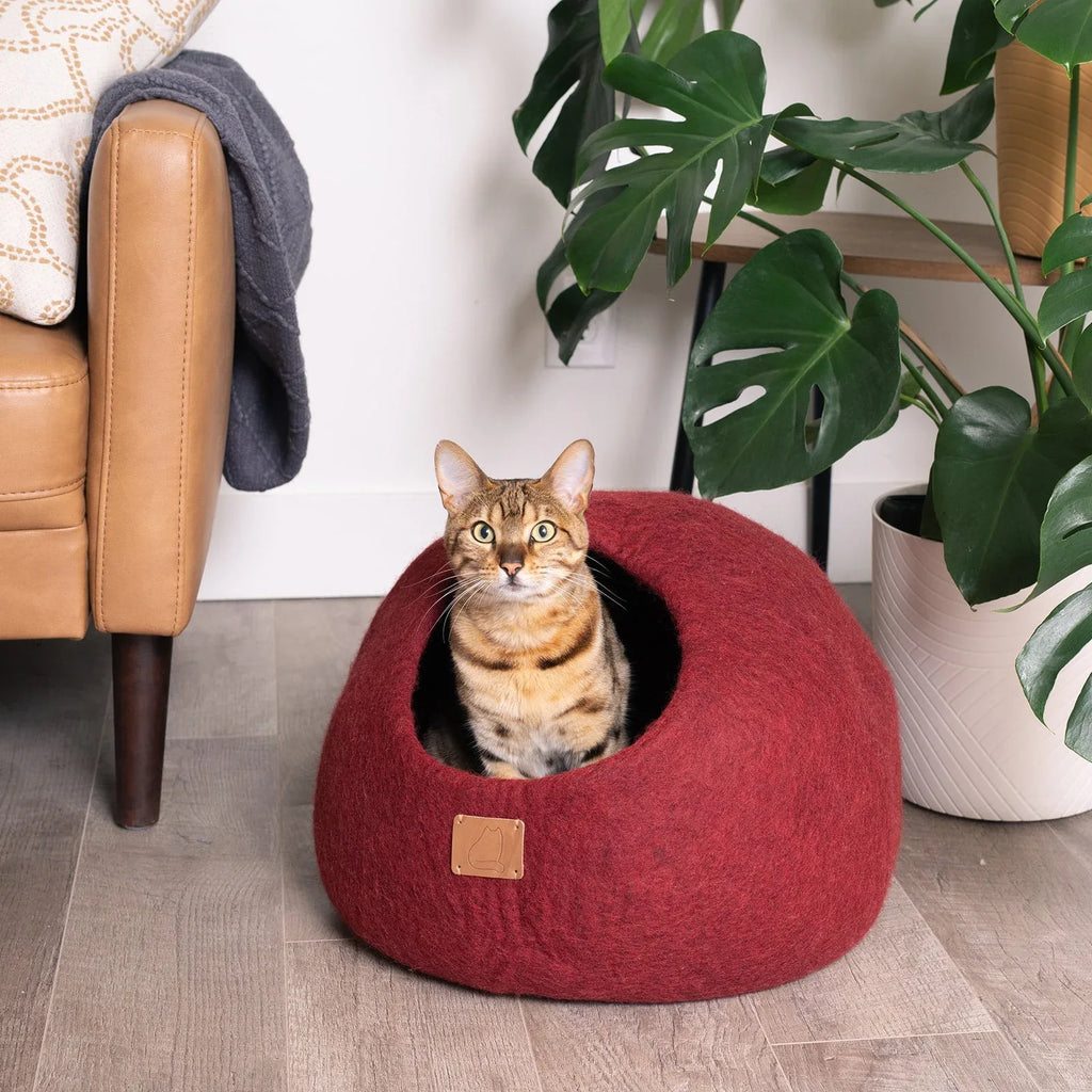 Wine Burgundy | Round Style Cave 1 - MiniPaw Luxe