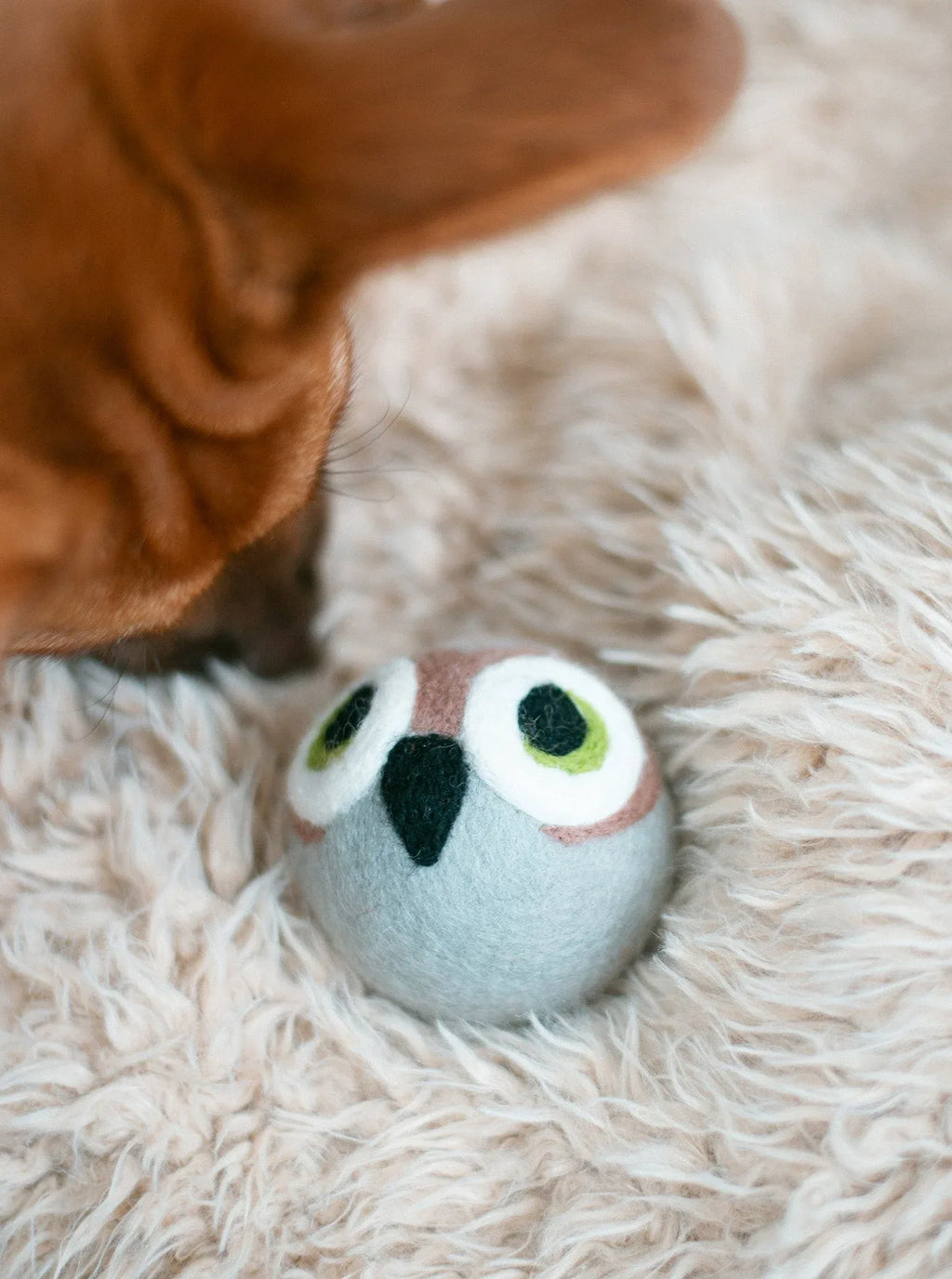 Wise Old Owl Beastball 3 - MiniPaw Luxe