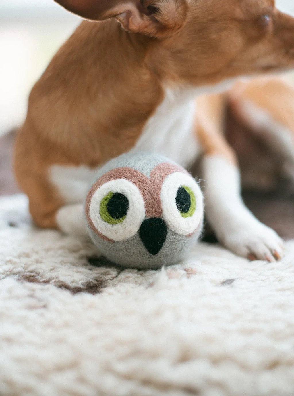 Wise Old Owl Beastball 5 - MiniPaw Luxe