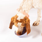 Wobbowl Lick Mat & Slow Feeder Bowl 6 - MiniPaw Luxe