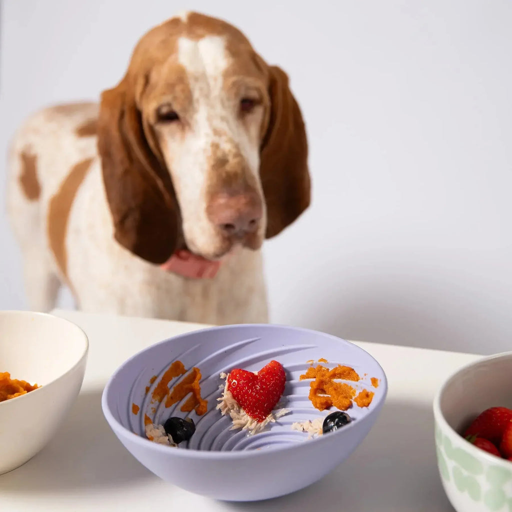Wobbowl Lick Mat & Slow Feeder Bowl 8 - MiniPaw Luxe