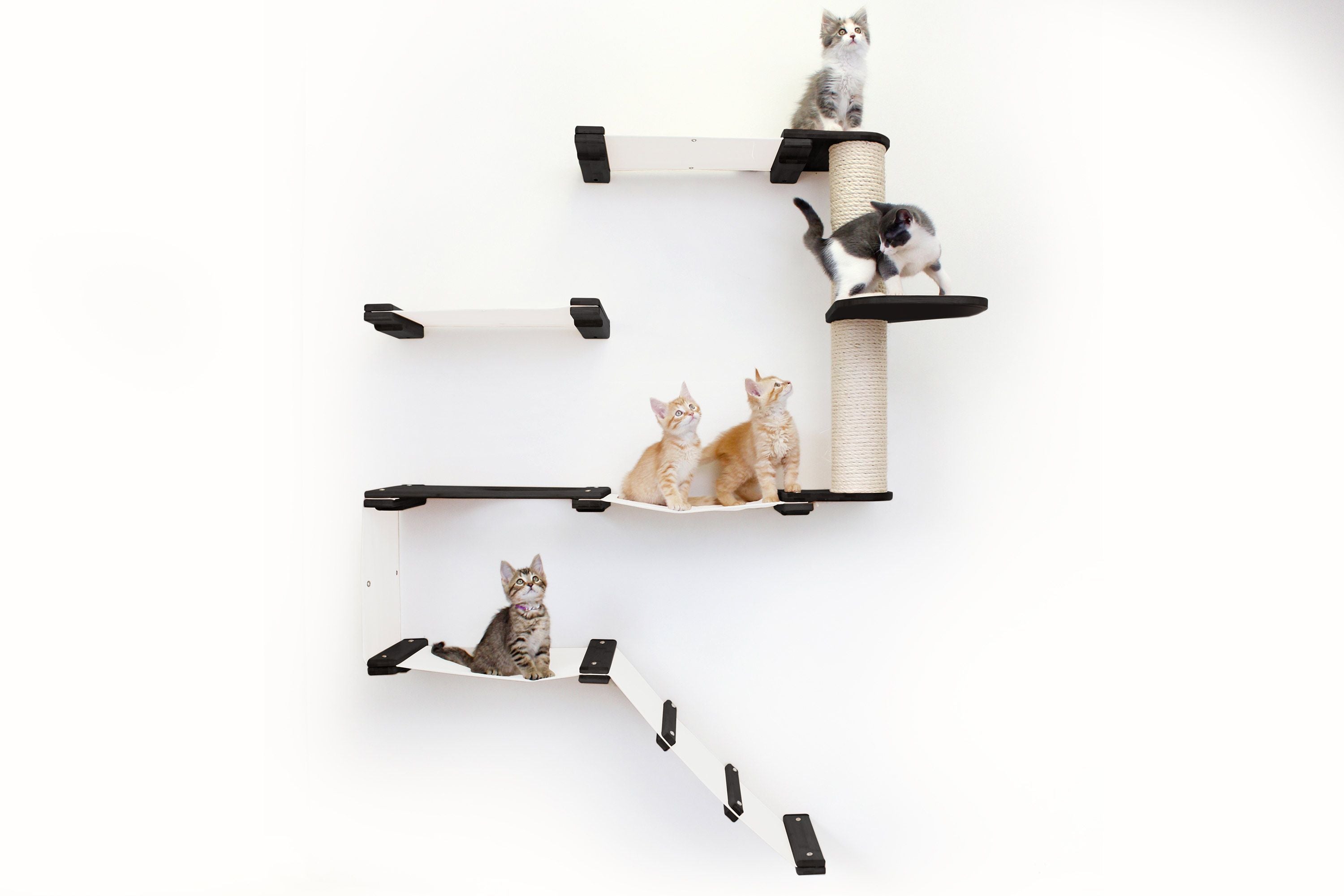 The Deluxe Cat Fort - Modern Cat Condo
