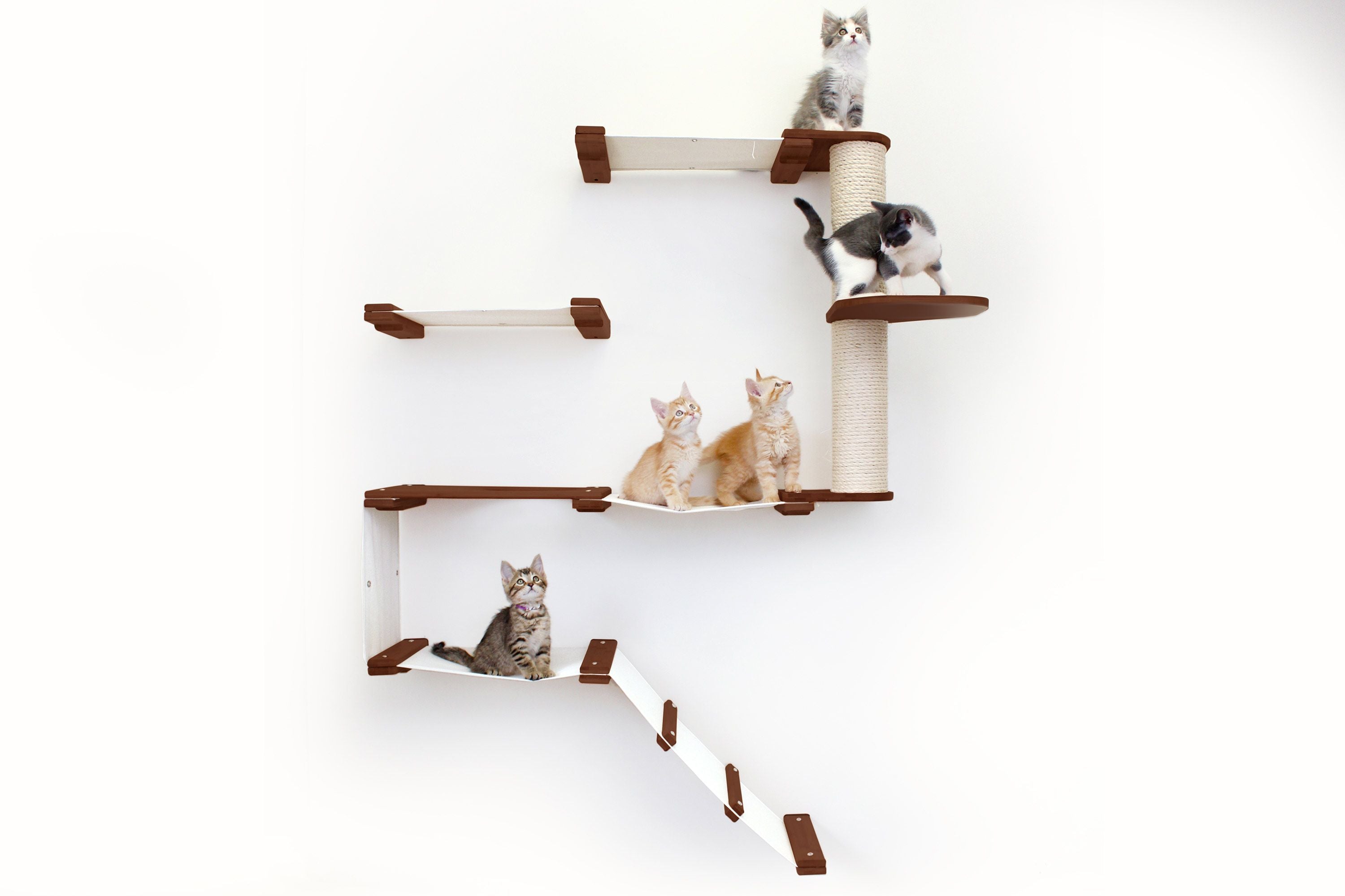 The Deluxe Cat Fort - Modern Cat Condo