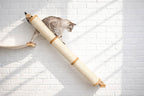 Slanted Cat Scratcher for Wall
