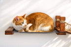 Double Cat Hammock and Climbing Bridge Combo