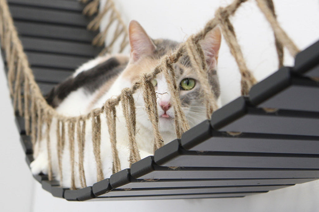 Cat Bridge for Wall