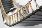 Cat Bridge for Wall