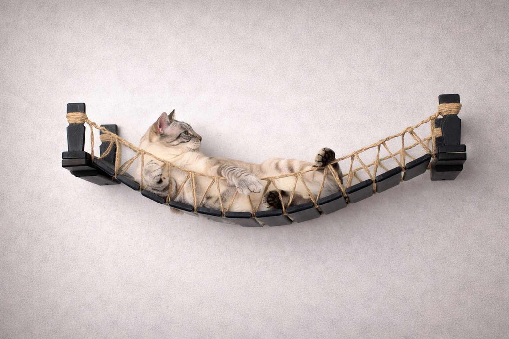 Cat Bridge for Wall