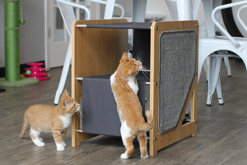 The Grotto - Short Cat Tree for Small Spaces