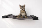 Hanging Cat Bed Hammock