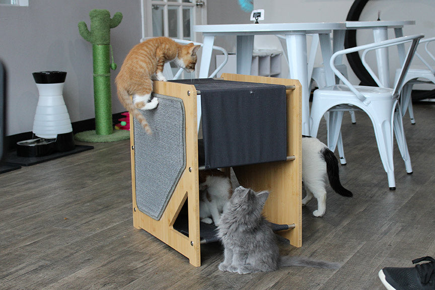 The Grotto - Short Cat Tree for Small Spaces