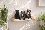 Hanging Cat Bed Hammock