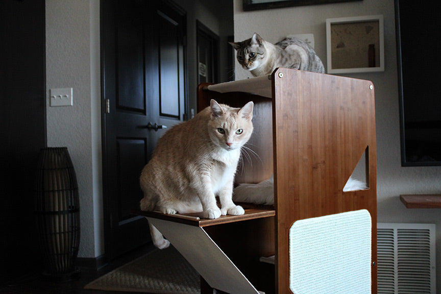 The Overlook - Sturdy - Bamboo Cat Tree