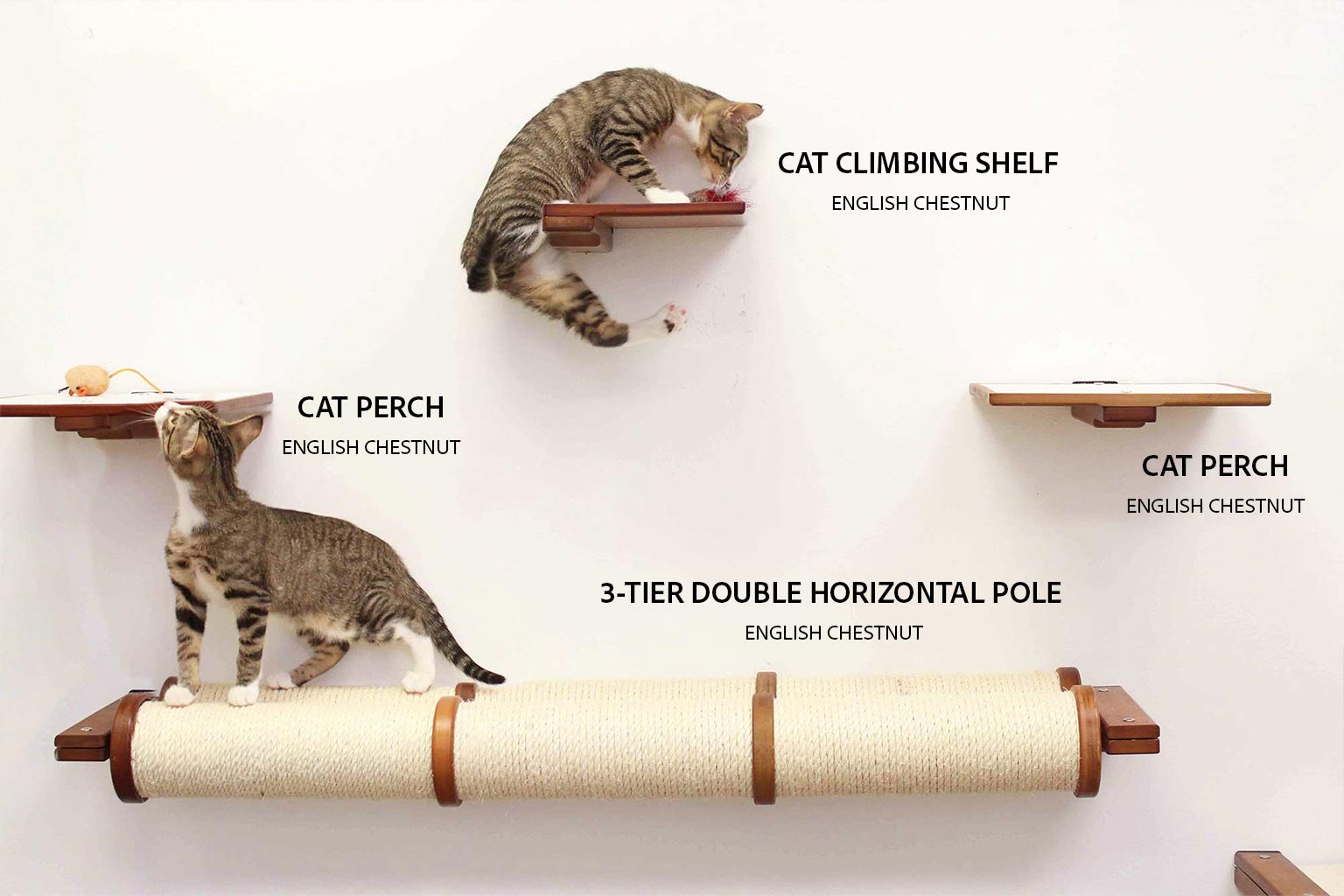 Cat Climbing Shelf