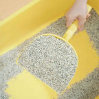 Cat Litter Changing Scoop