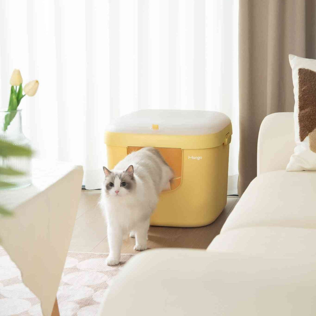 Mango Cube Litter Box XL Complete Set