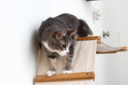 The Raceway - Wall Mounted Cat Hammock