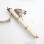 Slanted Cat Scratcher for Wall