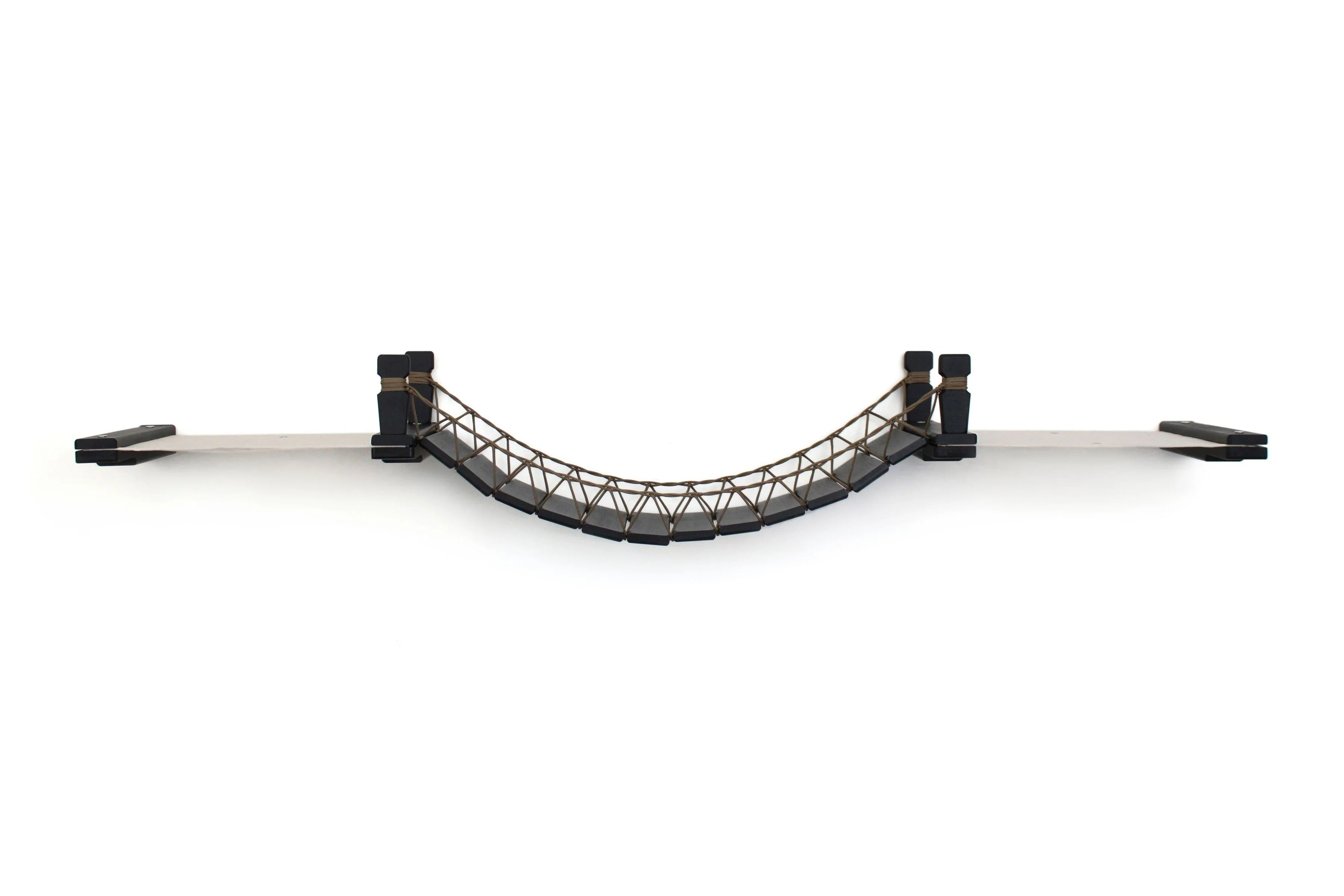Double Cat Hammock and Climbing Bridge Combo