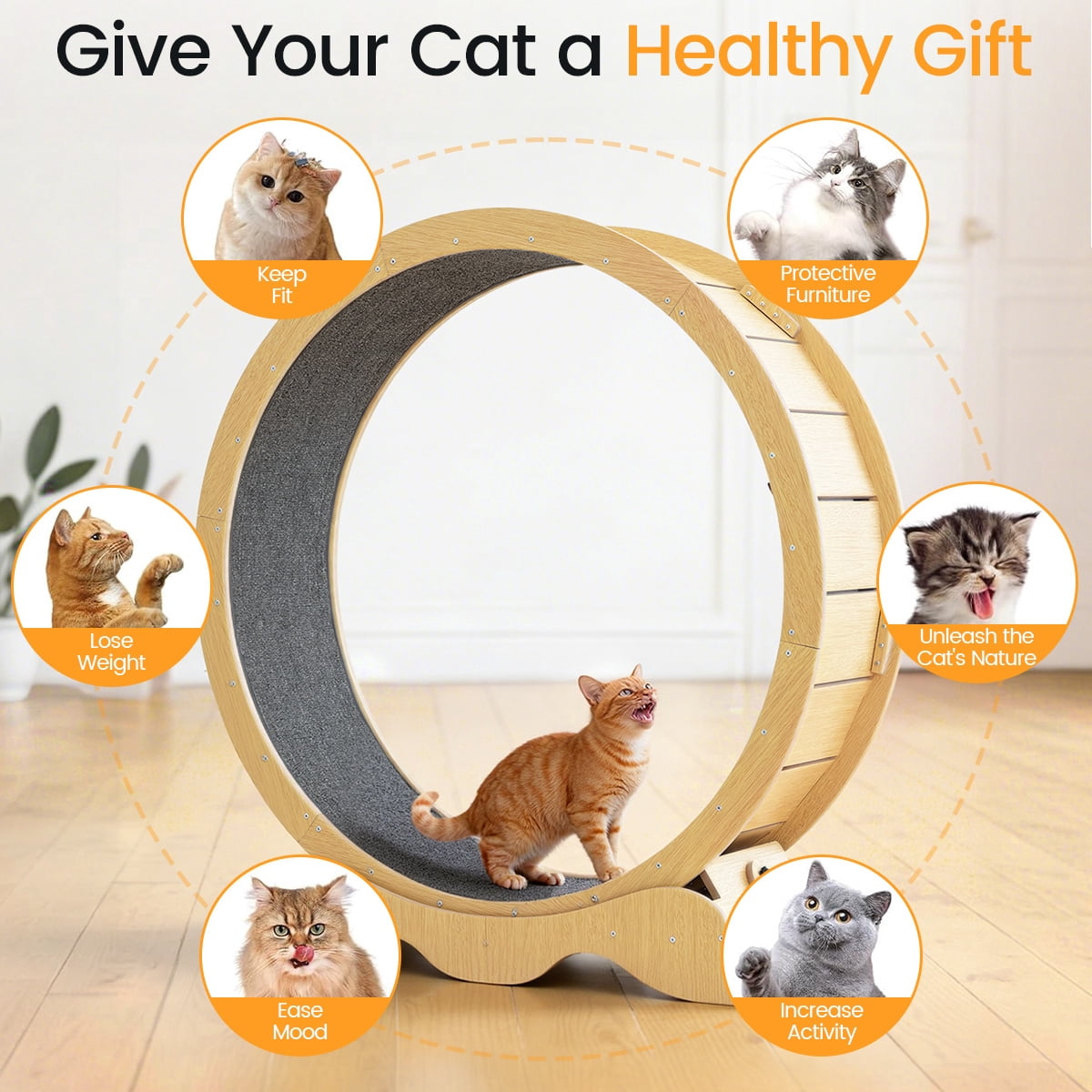 Silent Wooden Cat Running Wheel