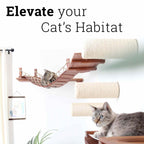 Corner Cat Shelf Bridge
