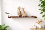 Wall Mounted Cat Feeding Shelf