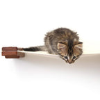 Hanging Cat Bed Hammock
