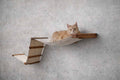 The Raceway - Wall Mounted Cat Hammock