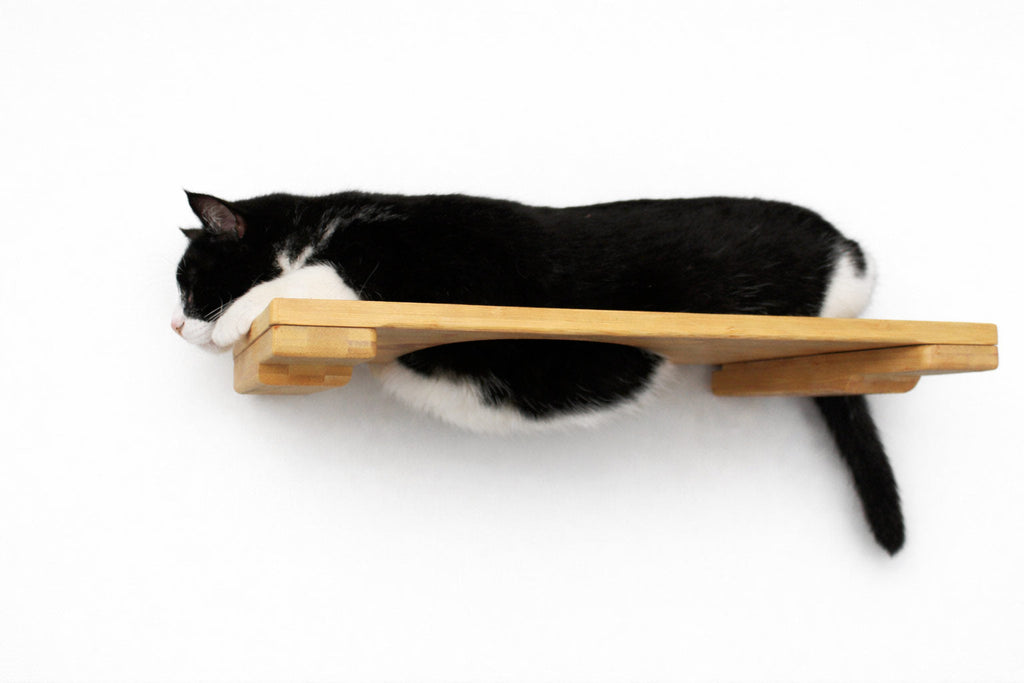 Wall Mounted Cat Shelf