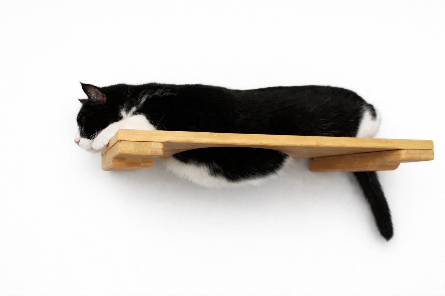 Wall Mounted Cat Shelf