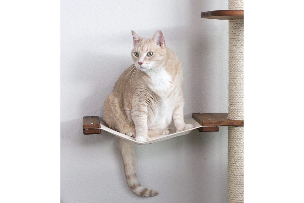 The Expedition - Cat Jungle Gym Wall System